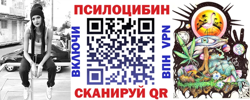 Псилоцибиновые грибы Cubensis  shop какой сайт  Шлиссельбург 